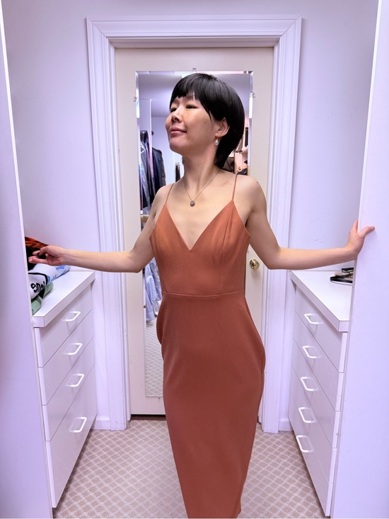 Alex Perry Dresses & Skirts - NWOT Alex Perry Spaghetti V Neck Midi Dress in Rust Red, Size US 6